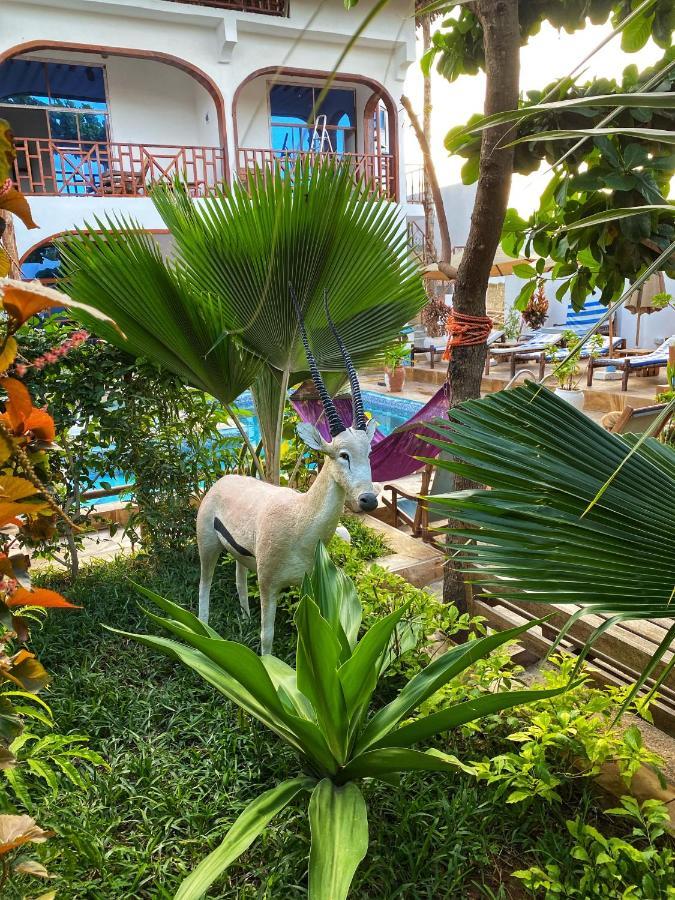 Utulivu Bungalow Nungwi Exteriör bild